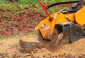 Best Grass Overseeding  in Soh Willard, UT